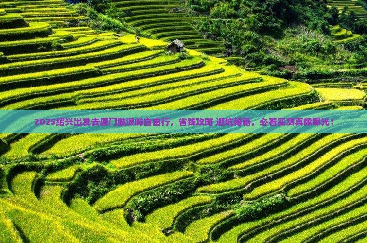 绍兴去厦门鼓浪屿自由行