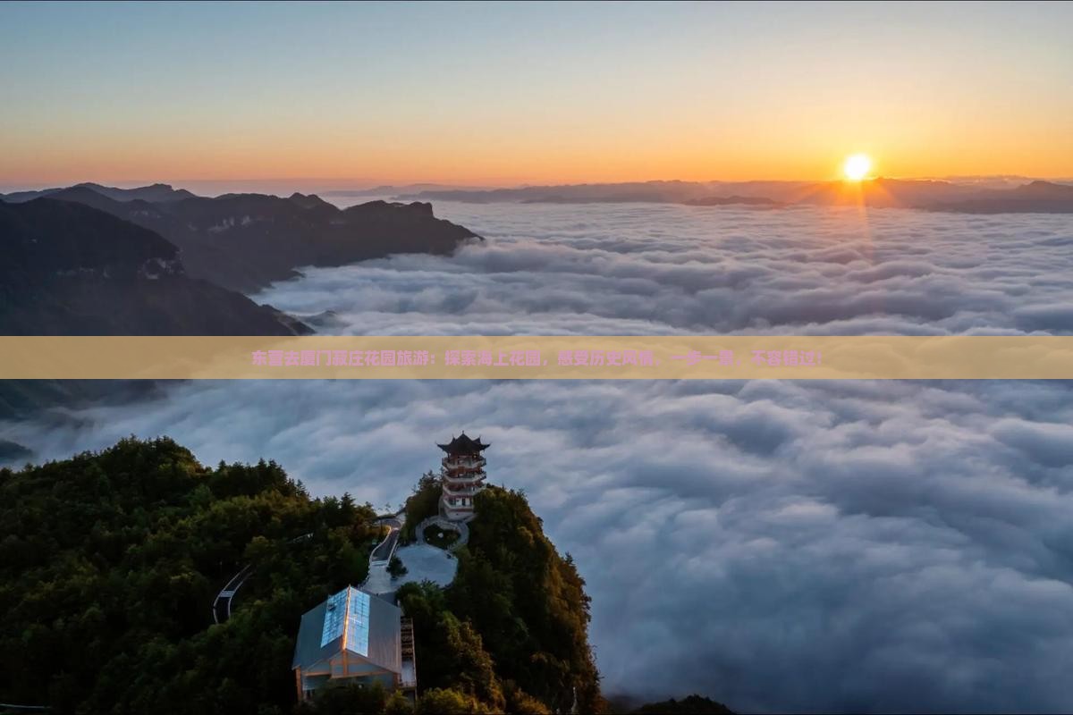东营去厦门菽庄花园旅游
