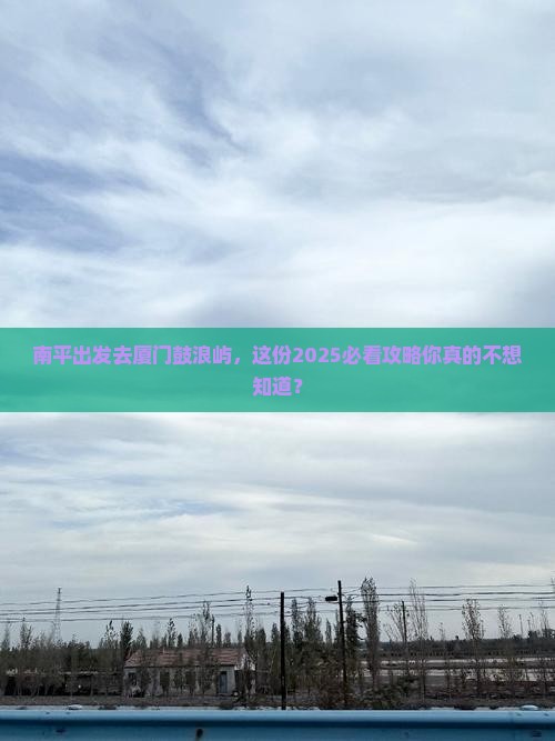 南平到厦门鼓浪屿旅行社