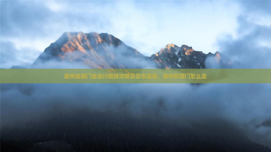 德州去厦门自由行