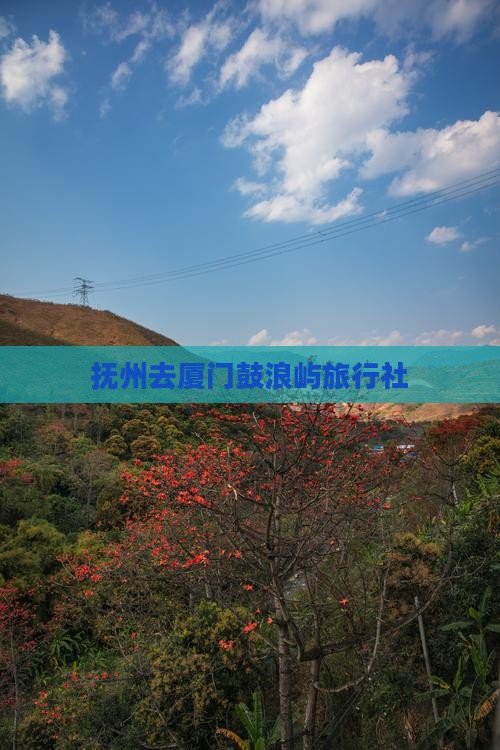 抚州去厦门鼓浪屿旅行社