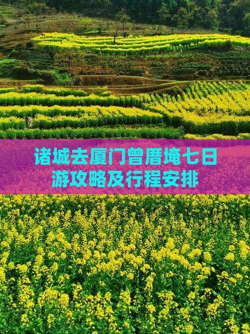 诸城去厦门曾厝埯七日游