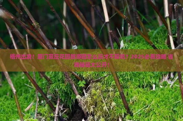 梧州到厦门菽庄花园大型旅游团