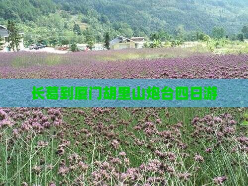 长葛到厦门胡里山炮台四日游