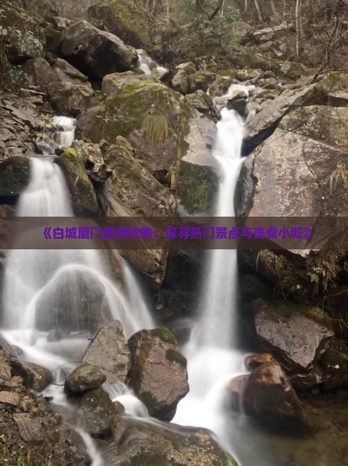 白城到厦门旅游小吃
