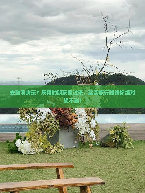 庆阳去厦门鼓浪屿旅行社