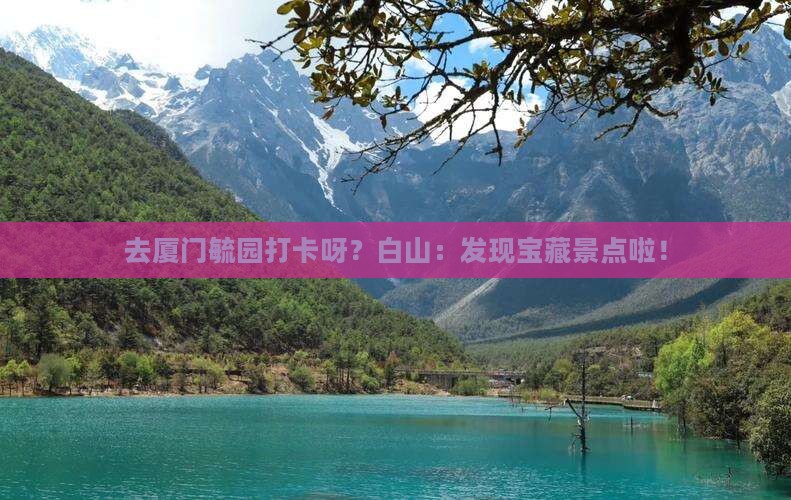 白山去厦门毓园景点