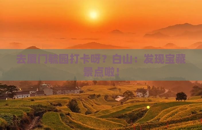 白山去厦门毓园景点
