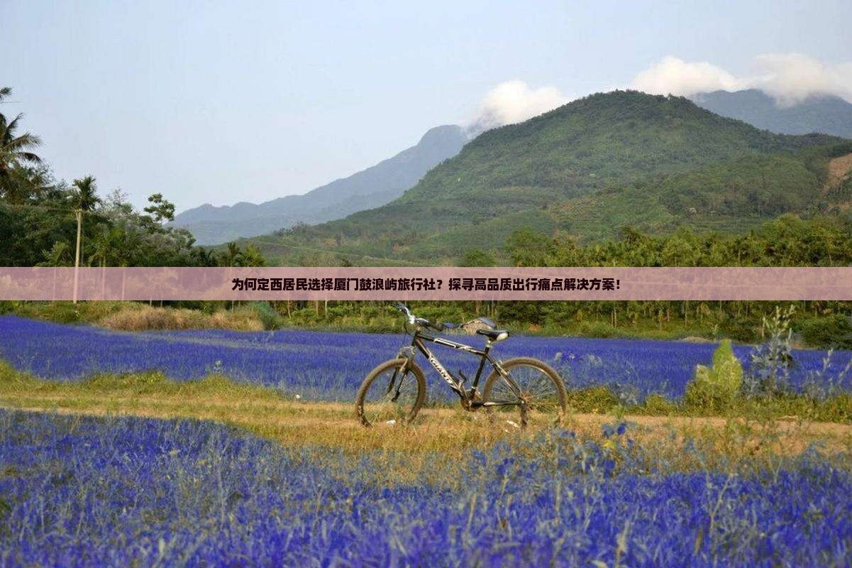 定西去厦门鼓浪屿旅行社