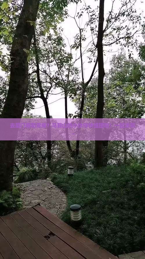 马鞍山去厦门和贵楼自由团
