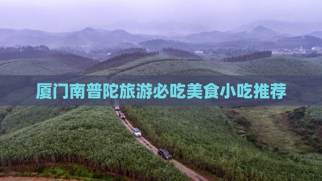 南充去厦门南普陀旅游小吃