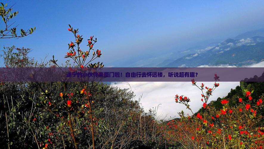 遂宁去厦门怀远楼自由行