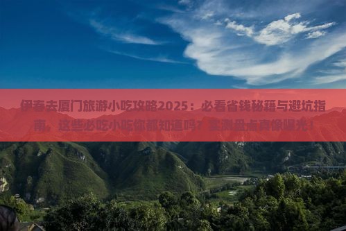 伊春去厦门旅游小吃