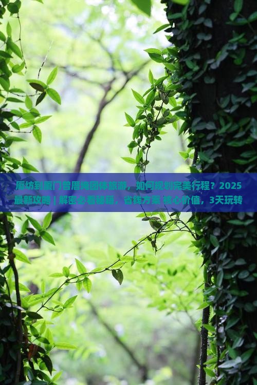 廊坊到厦门曾厝埯团体旅游