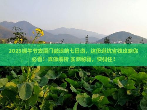 端午节去厦门鼓浪屿七日游