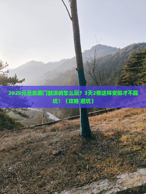 元旦到厦门鼓浪屿攻略