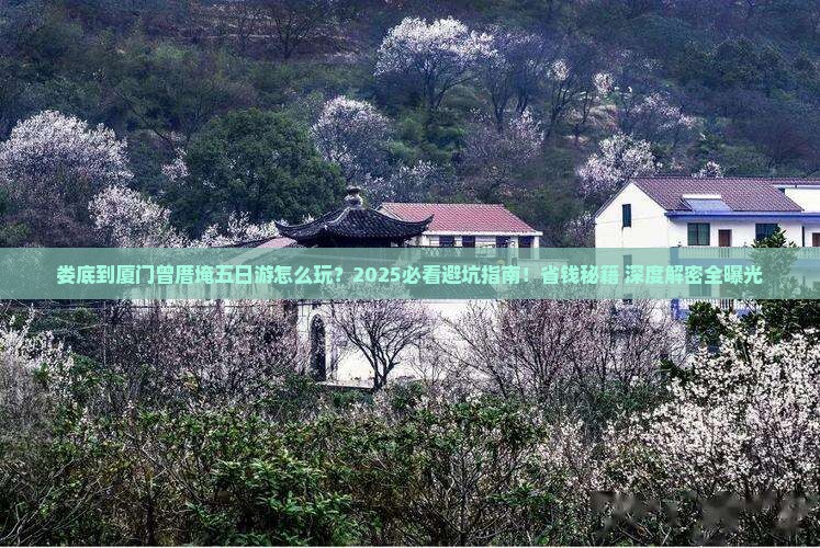 娄底到厦门曾厝埯五日游