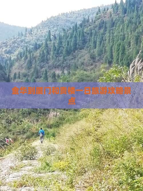 金华到厦门和贵楼一日