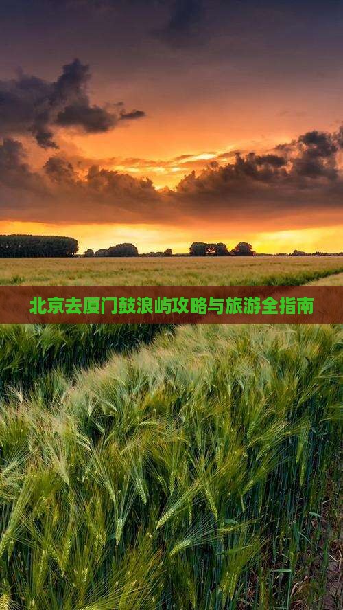 北京去厦门鼓浪屿景点