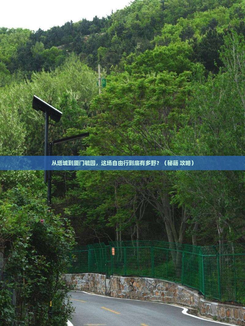 塔城到厦门毓园自由行