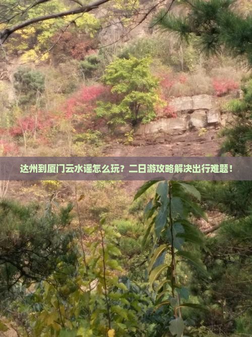 达州到厦门云水谣二日游