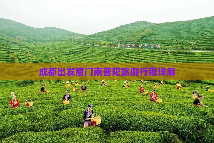 成都去厦门南普陀大型旅游团