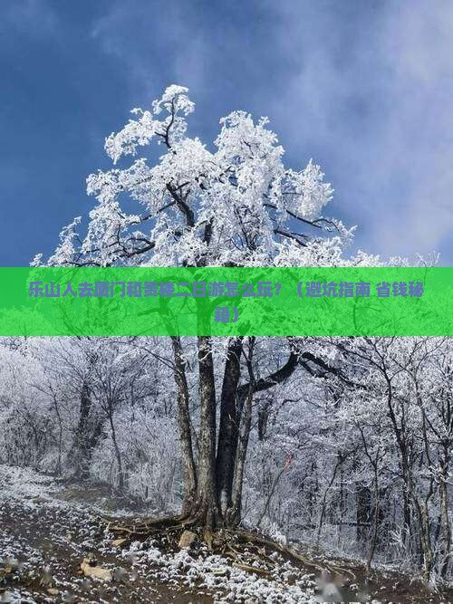 乐山去厦门和贵楼二日游