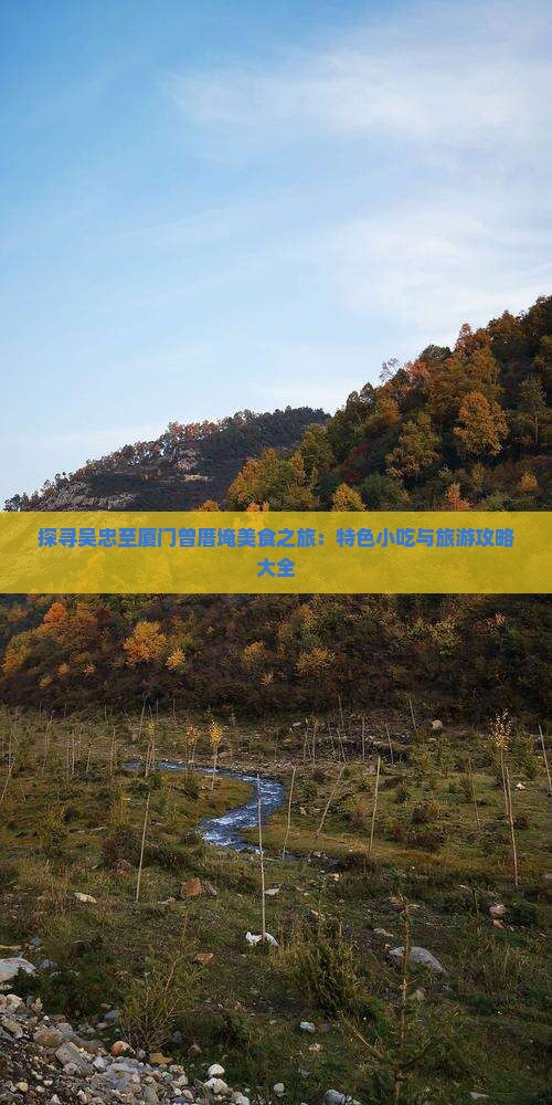 探寻吴忠至厦门曾厝埯美食之旅：特色小吃与旅游攻略大全