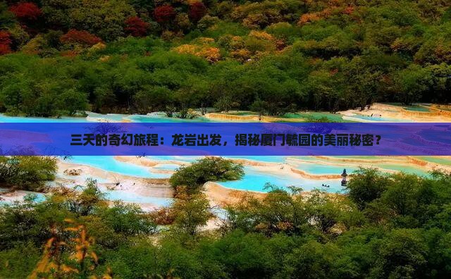 龙岩去厦门毓园三日游