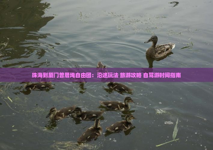 珠海到厦门曾厝埯自由团