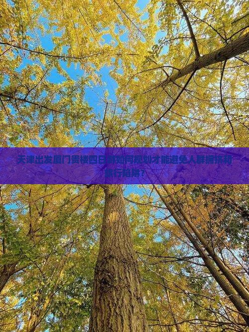 天津去厦门和贵楼四日游