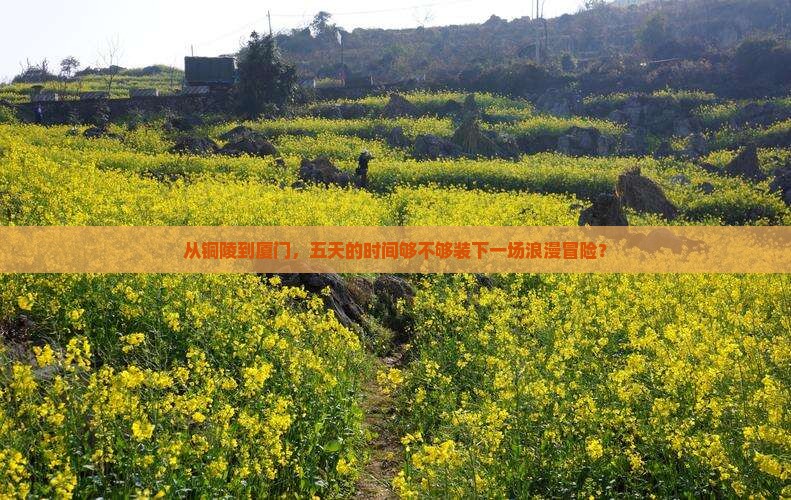 铜陵去厦门五日游