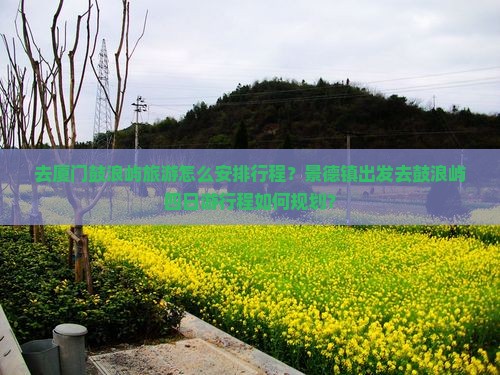 景德镇去厦门鼓浪屿四日游