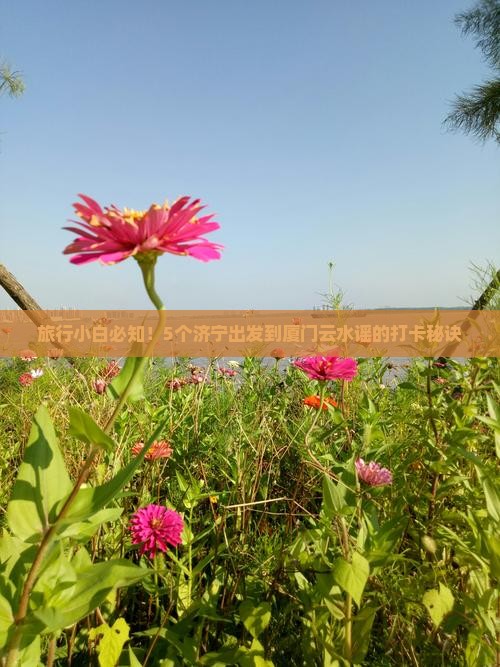 济宁到厦门云水谣必去地