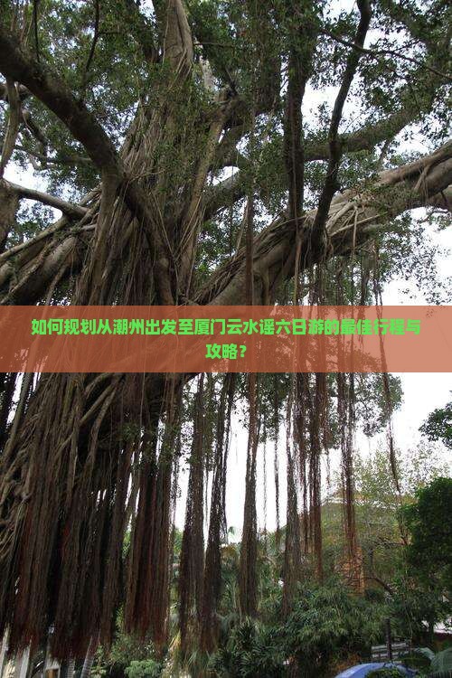 潮州去厦门云水谣六日游