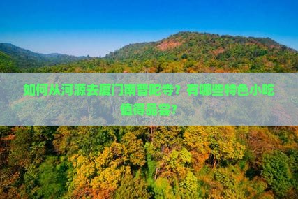 河源去厦门南普陀旅游小吃