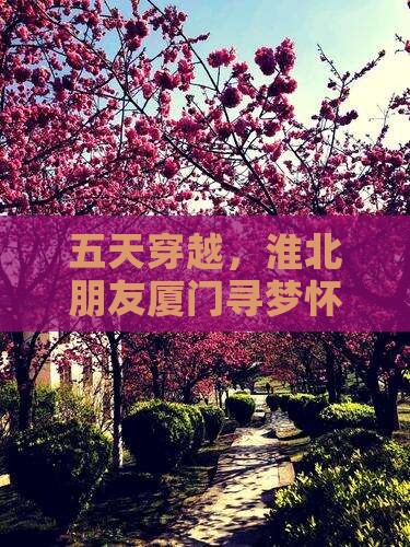 淮北去厦门怀远楼五日游 淮北去厦门怀远楼五日游
