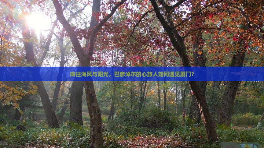 巴彦淖尔去厦门自由团