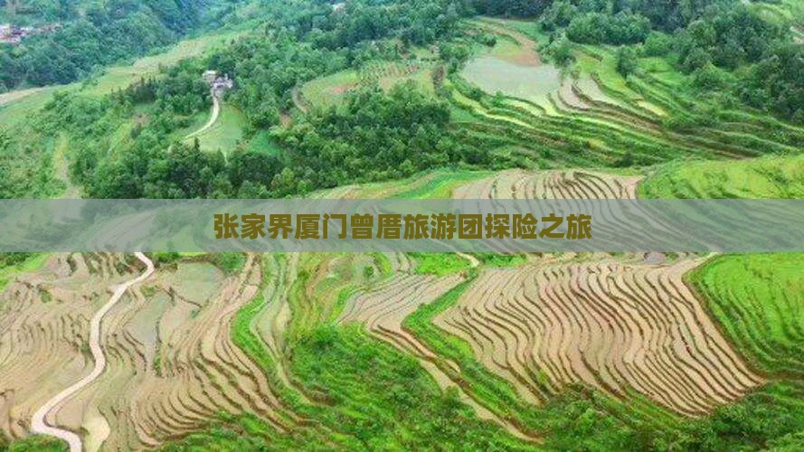张家界到厦门曾厝埯团体旅游