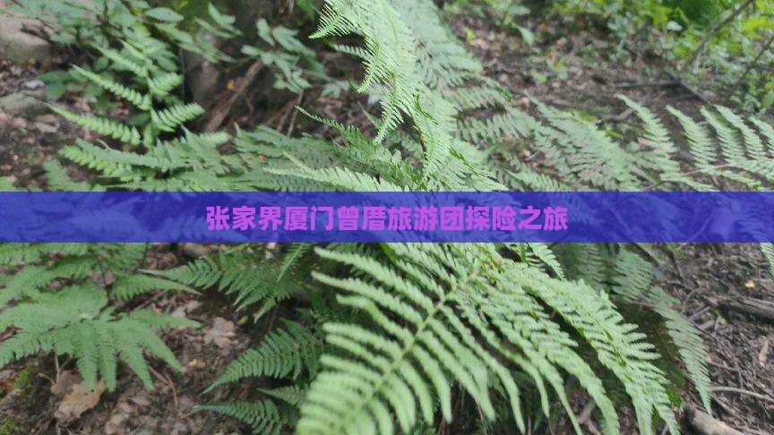 张家界到厦门曾厝埯团体旅游