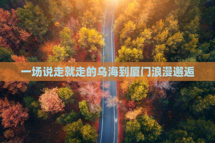 乌海去厦门一日