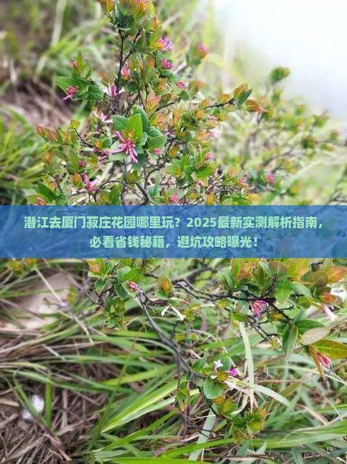 潜江去厦门菽庄花园哪里玩