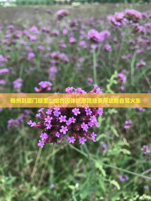 梅州到厦门胡里山炮台团体旅游