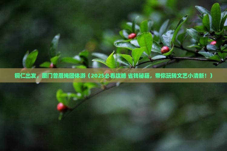 铜仁到厦门曾厝埯团体旅游