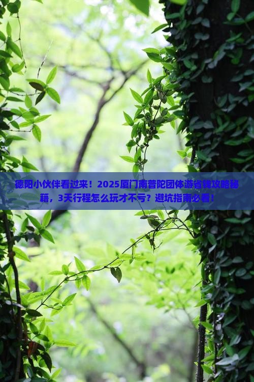 德阳去厦门南普陀团体旅游