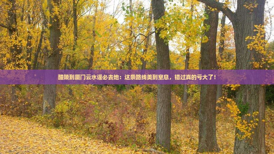 醴陵到厦门云水谣必去地