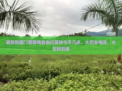 襄樊到厦门曾厝埯自由行