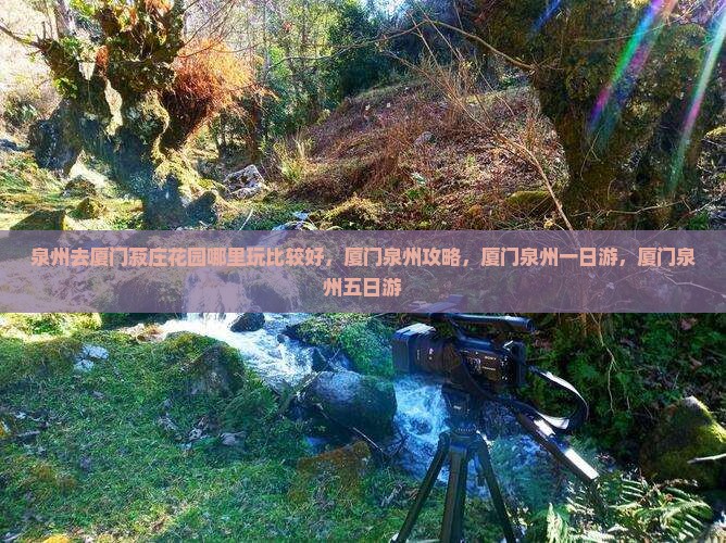 泉州去厦门菽庄花园哪里玩