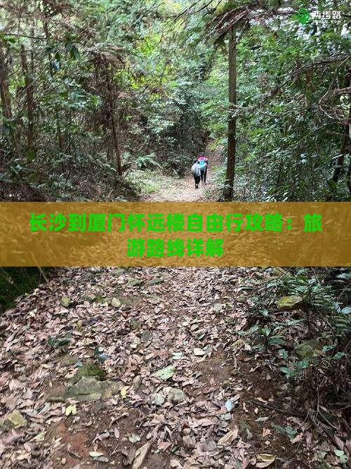 长沙到厦门怀远楼自由行