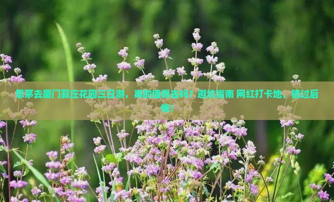 思茅去厦门菽庄花园三日游